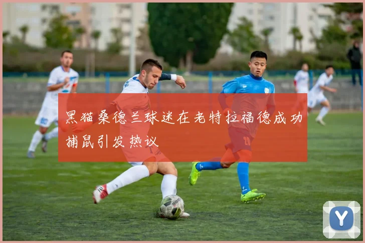 黑猫桑德兰球迷在老特拉福德成功捕鼠引发热议